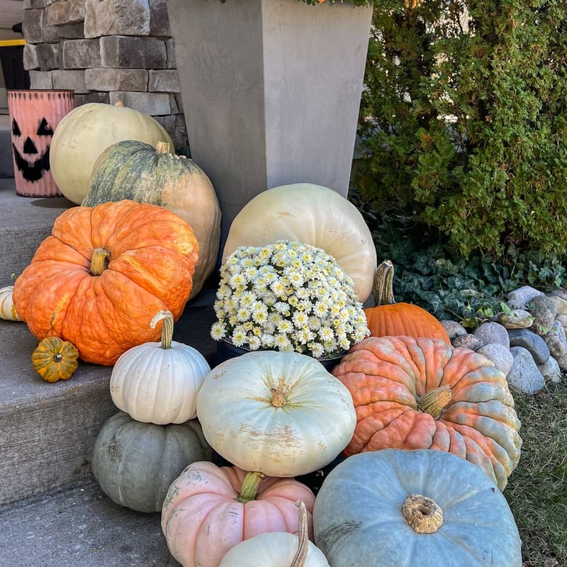 Classic front door fall display with pumpkins