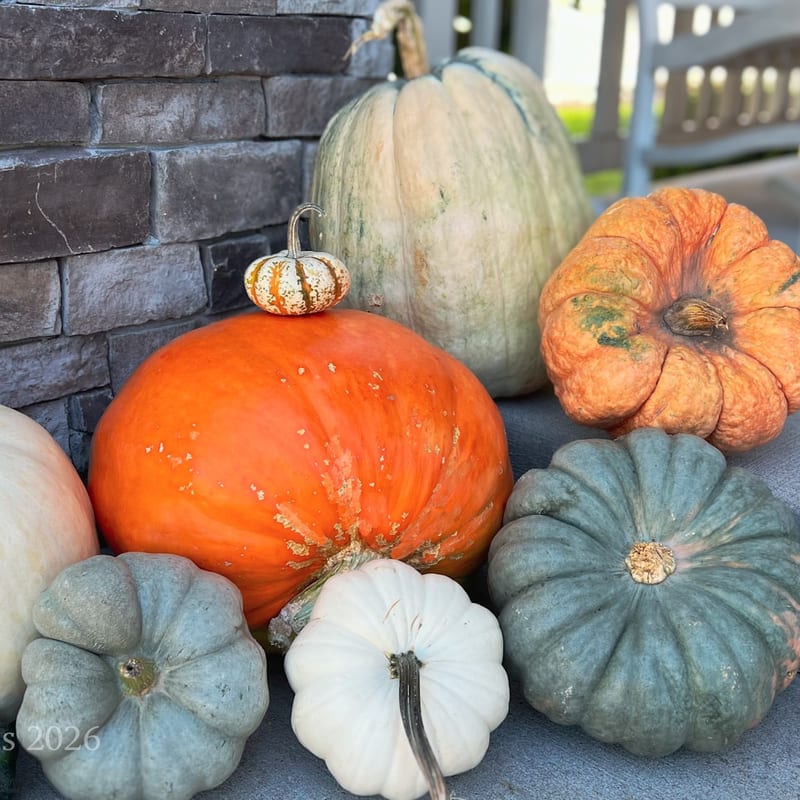 Cozy fall porch setup with seasonal decor